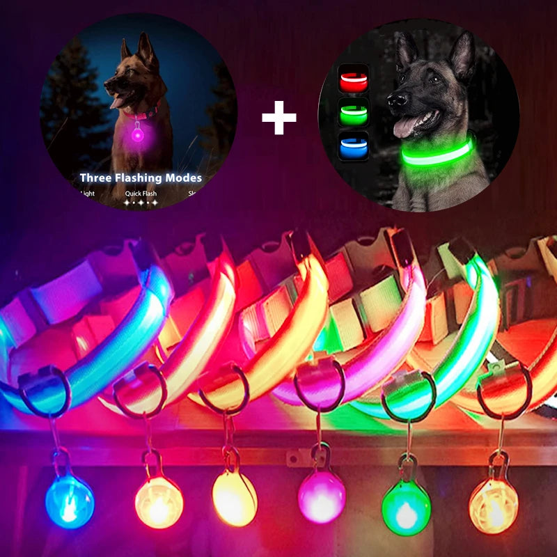 BrightyDog™ – Collier LED USB + Pendentif