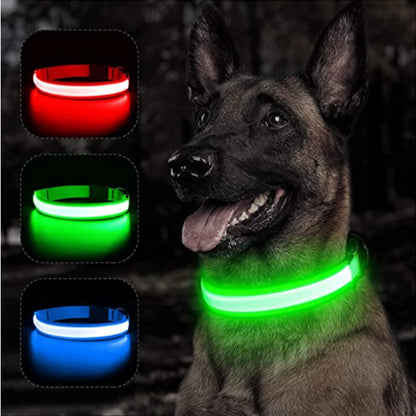 BrightyDog™ – Collier LED USB + Pendentif